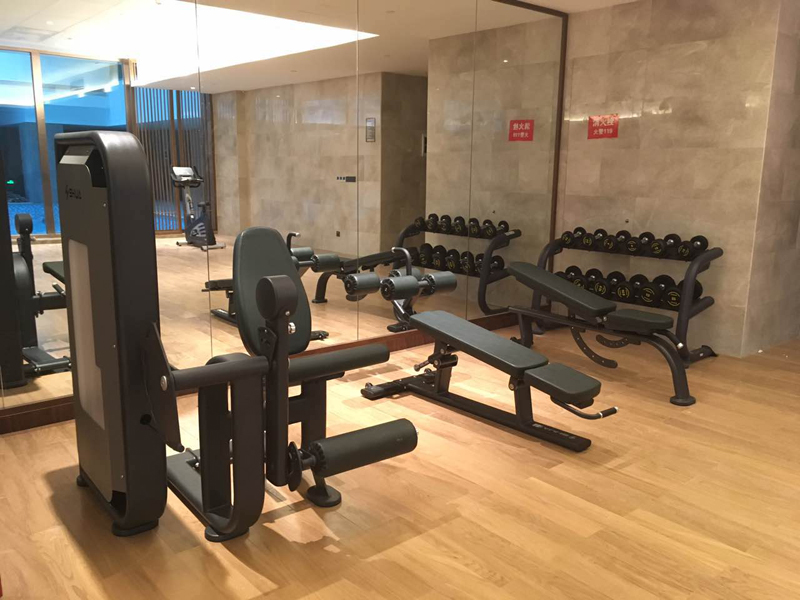酒店健身房器材,室内健身器材,高端商用健身器材-广西od.com体育体育健身器材有限公司