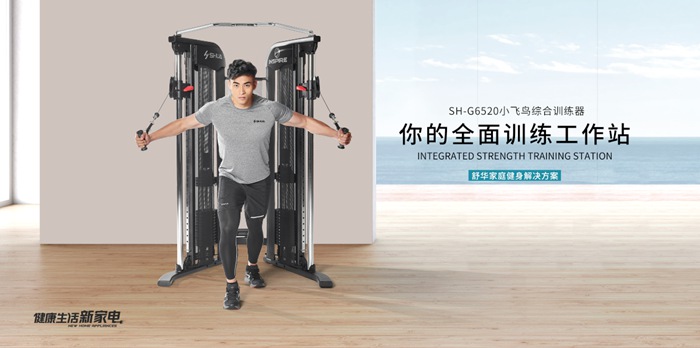 od.com体育健身器材-小飞鸟综合训练器SH-G6520