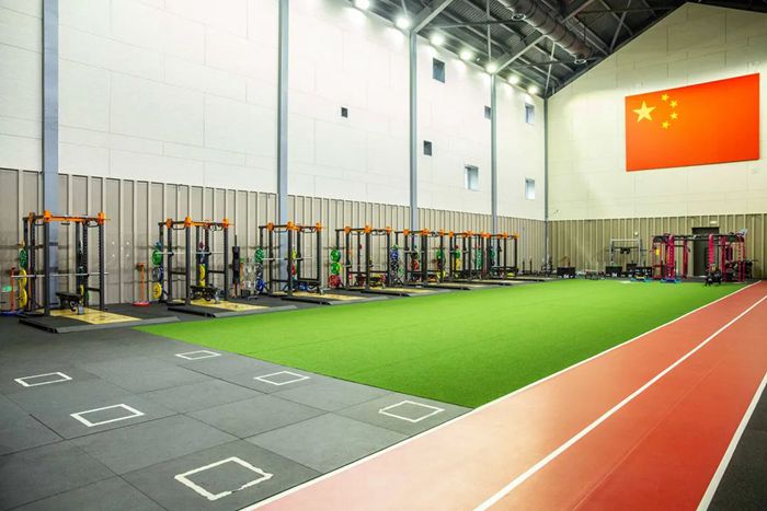 体能训练解决方案-广西od.com体育体育